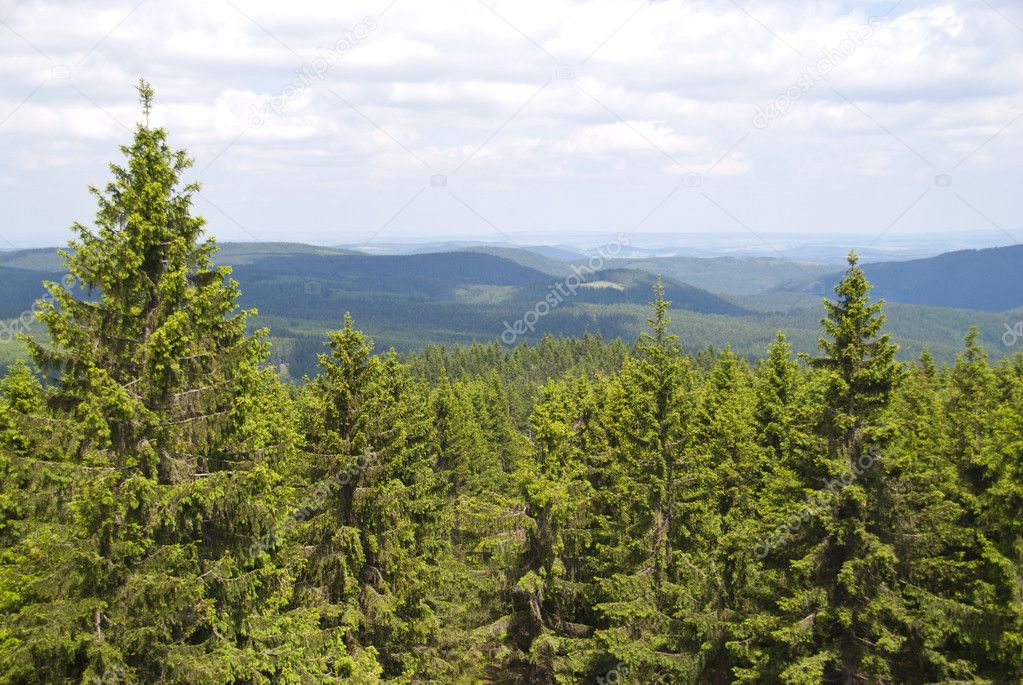 Thuringian Forest