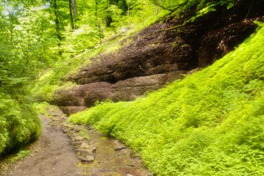 Drachenschlucht