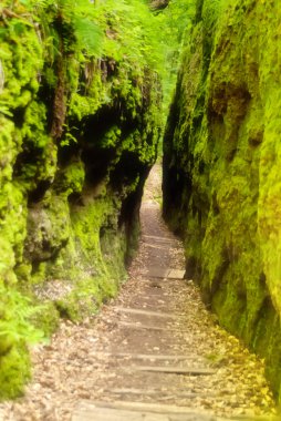 Drachenschlucht