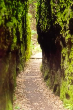 Drachenschlucht