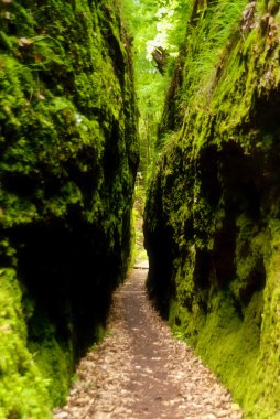 Drachenschlucht