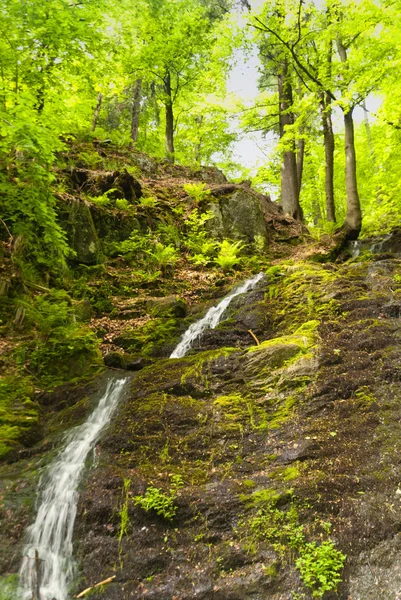 Vattenfall i skogen thuringian — Stockfoto