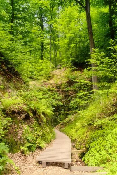 stock image Drachenschlucht