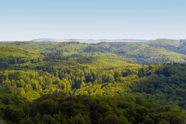 stock image Thuringian Forest