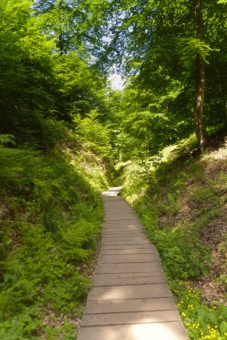 Drachenschlucht