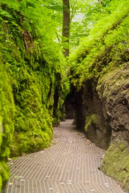 Drachenschlucht