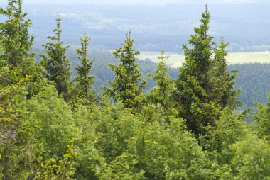 Thuringian Forest