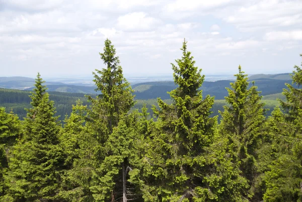 Thuringian Forest — Stok fotoğraf