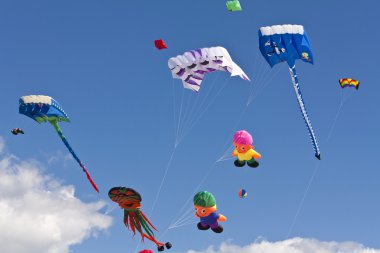 Kite Festval in St. Peter-Ording, Germany