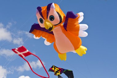 Kite Festval in St. Peter-Ording, Germany