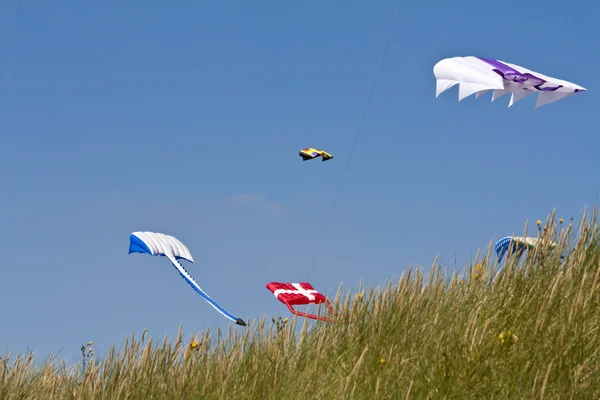 Kite Festval in St. Peter-Ording, Germany — Stok fotoğraf
