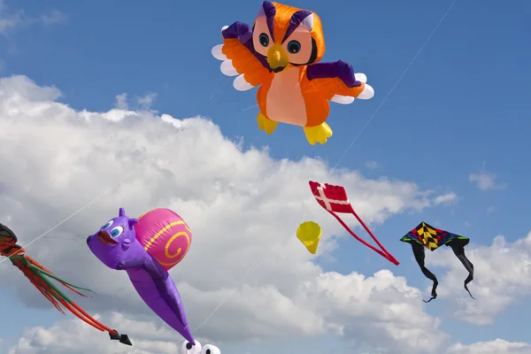 Kite Φεστιβάλ Φωκαία στο st. peter-ording, Γερμανία — Φωτογραφία Αρχείου