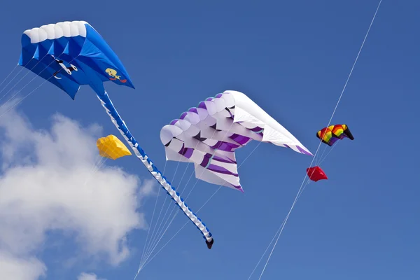 在德国圣彼得欧丁风筝 festval — 图库照片