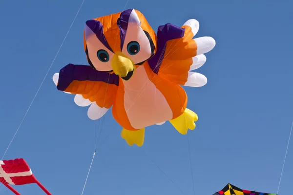 Kite festval i st. peter-ording, germany — Stockfoto