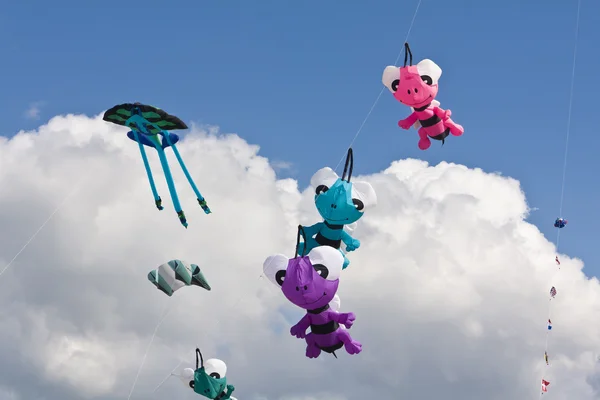 Kite festval in st. peter-ording, Duitsland — Stockfoto