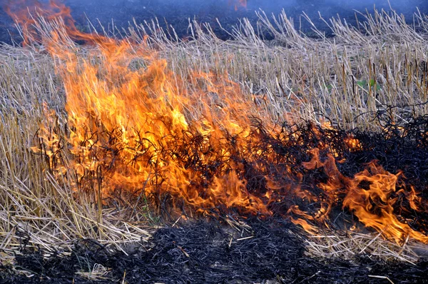 stock image Fire on the retracted the field