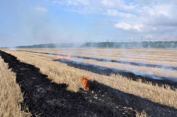 stock image Fire on the retracted the field