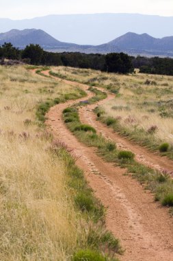 New Mexico, USA road mountain scene winding road clipart