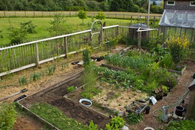 View of garden from above clipart