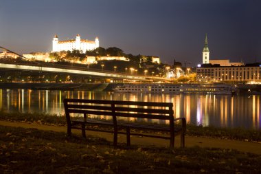 Bratislava - castle and cathedral from riverside clipart