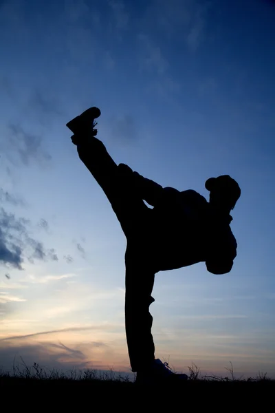 Kick - karate eğitimi - siluet — Stok fotoğraf