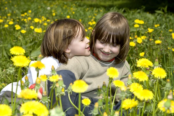 Fun of little girls in dandelions — Stock Photo, Image