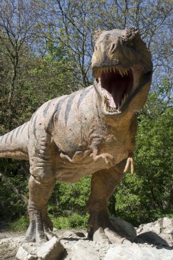 Tyrannosaurs rex - Bratislava zoo garden clipart