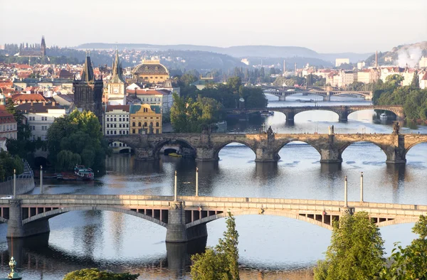 stock image Prague - from letna - bridges in morning