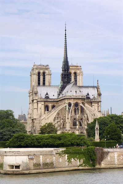 Париж - собор Нотр-Дам — стокове фото