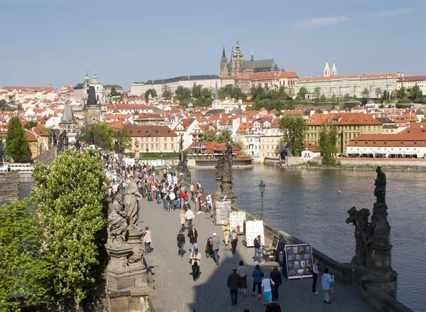 Prague - look to Charles bridge and cathedral from tower — Stock Photo, Image