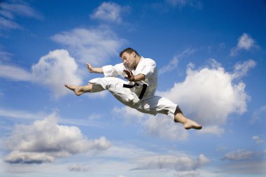 Karate - kick and sky clipart