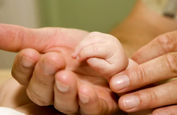 Handen van baby en vader - detail — Stockfoto
