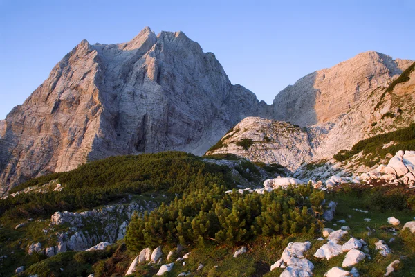 จูเลียนเทือกเขาแอลป์ - ยอดแหลมในแสงอาทิตย์ขึ้น - สโลวีเนีย — ภาพถ่ายสต็อก