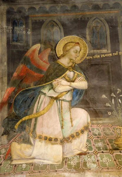 Angel - freskó - részlet az Angyali üdvözlet - Florence San Miniato al Monte templom — Stock Fotó
