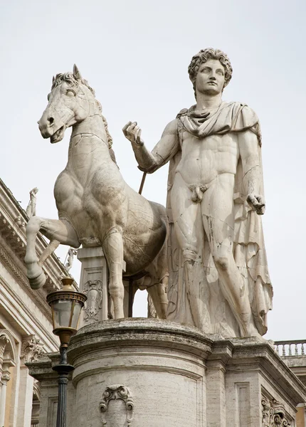 Rom - Statue aus Castor auf der Piazza del campidoglio — Stockfoto