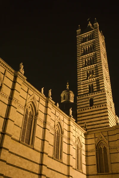 Siena - tower of cathedral at night — Stock Photo, Image