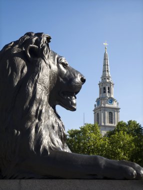 Londra - nelson memorial trafalgar Meydanı üzerinde aslandan