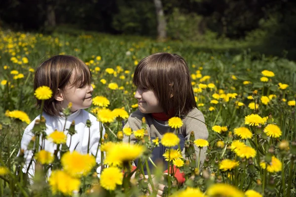 Little girl on the meadow - dandelions — Stock Photo, Image