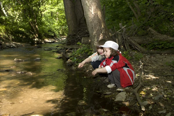 stock image Little girls by forest creek