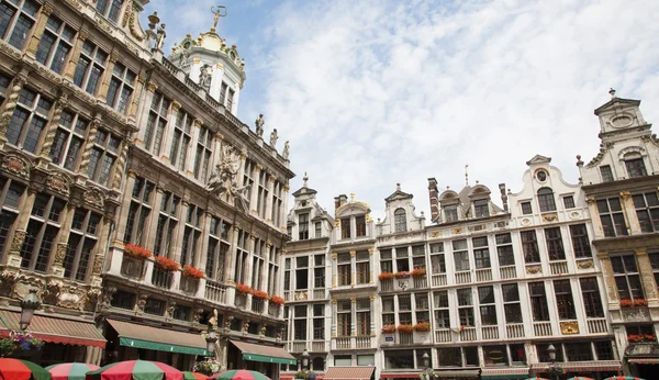 Bruselas - La fachada de los palacios de la plaza principal a la luz de la tarde. Grote Markt . —  Fotos de Stock