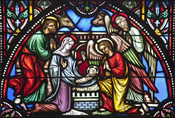 ブリュッセル - 6 月 22 日： 2012 年 6 月 22 日ブリュッセルでの聖ミカエルのゴシック様式の大聖堂の窓からすからキリスト降誕の詳細. — ストック写真