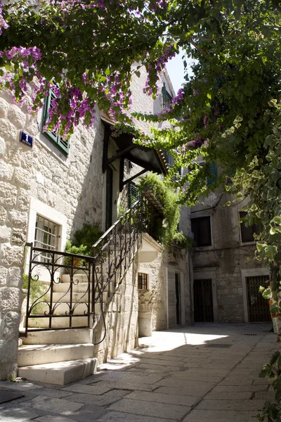 Split - stary dom w centrum i kwiaty — Zdjęcie stockowe