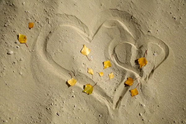 Cuori nella sabbia in autunno — Foto Stock