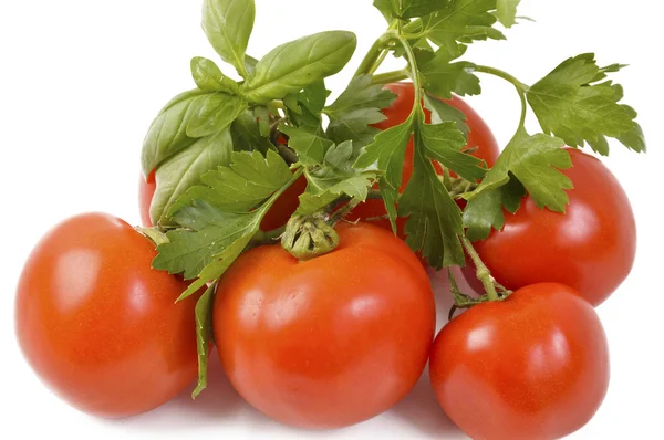 Red tomatoes with basil and parsley — Stock Photo, Image