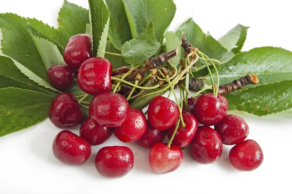 Red cherries with leaves — Stock Photo, Image