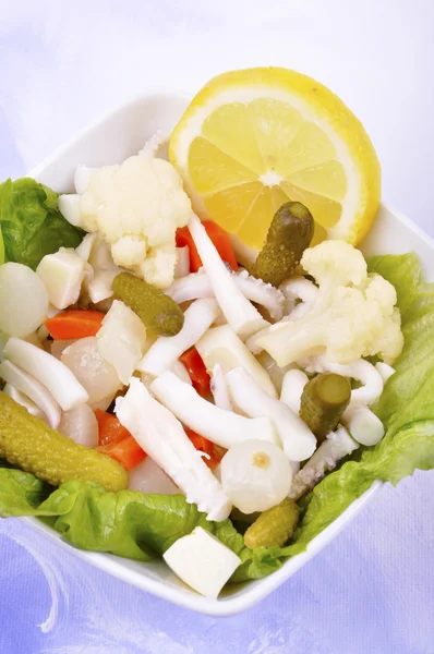 Fresh squid salad — Stock Photo, Image