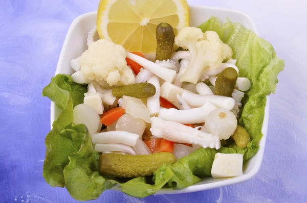 Fresh squid salad — Stock Photo, Image