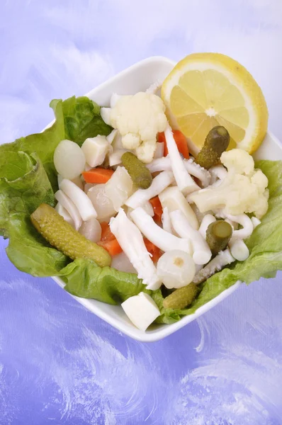 Čerstvé chobotnice salát — Stock fotografie
