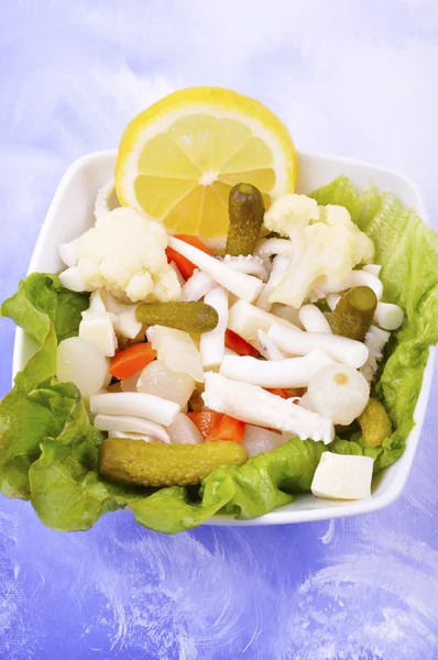Friss tintahal saláta — Stock Fotó