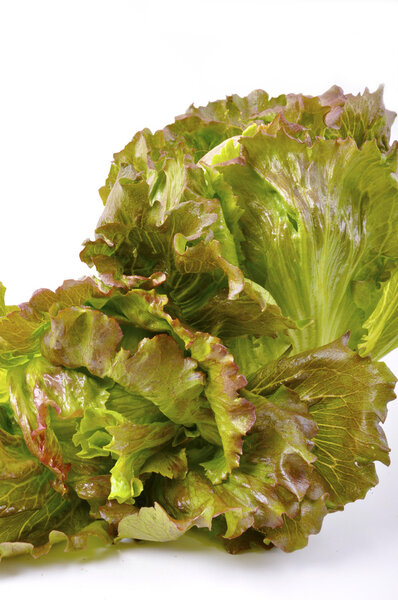 Lettuce salad